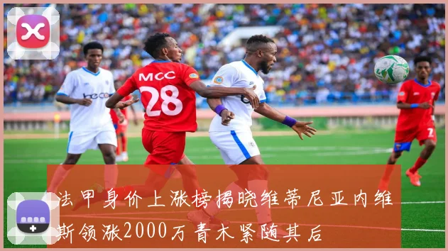 法甲身价上涨榜揭晓维蒂尼亚内维斯领涨2000万青木紧随其后