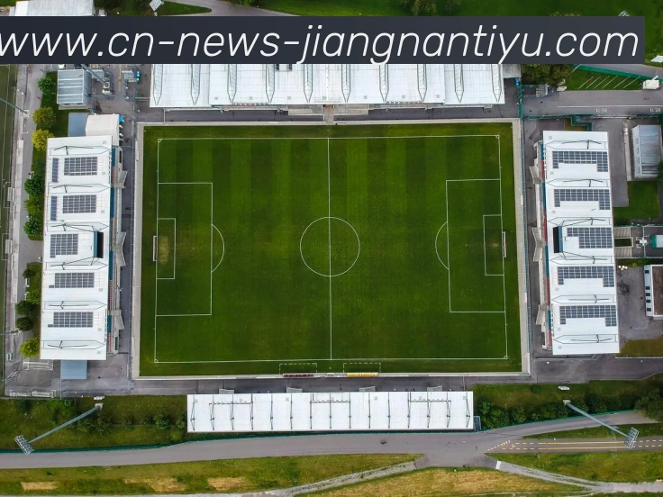 江南体育平台生态图